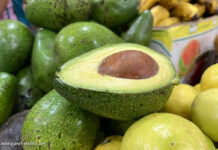 Aguacate, Avocado und Guacamole aus Mexiko
