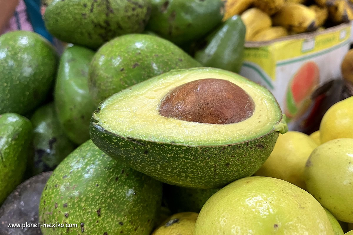 Aguacate, Avocado und Guacamole aus Mexiko