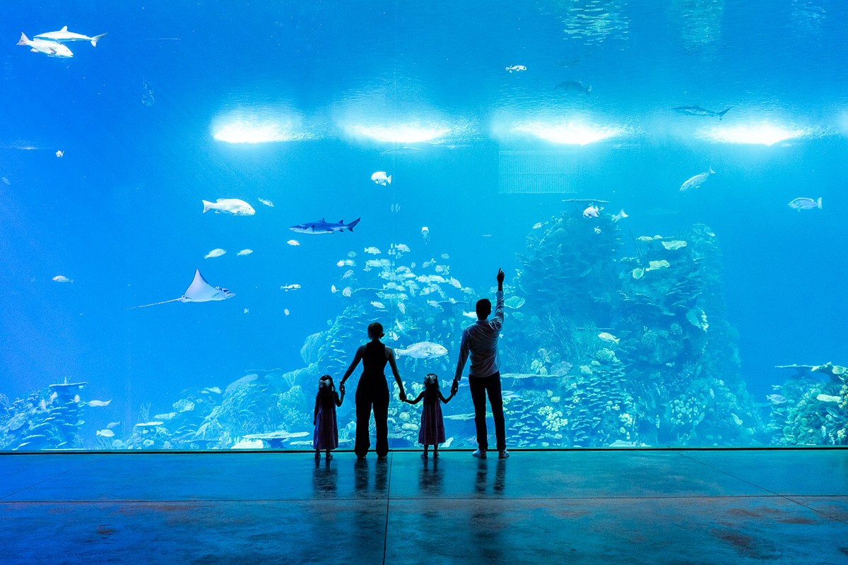 Aquarium Gran Acuario de Mazatlán
