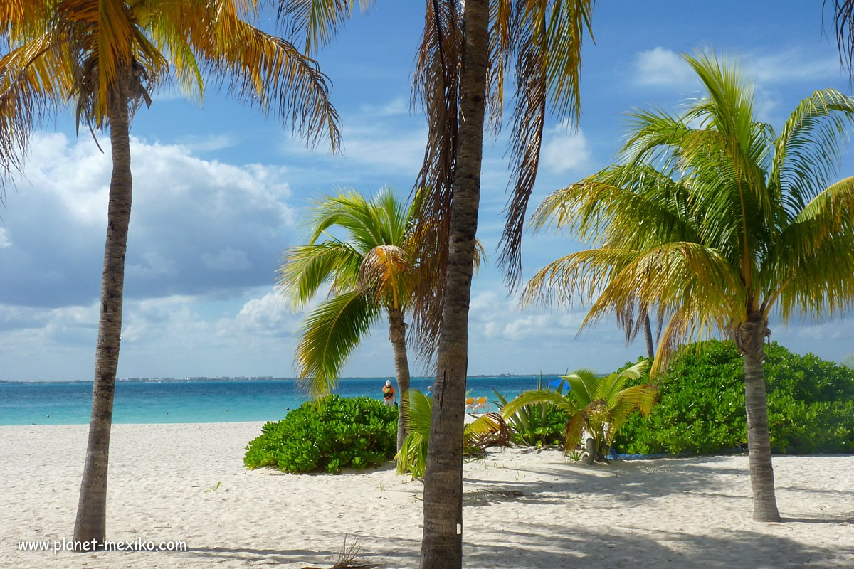 Ausflug und Tour auf die Isla Mujeres