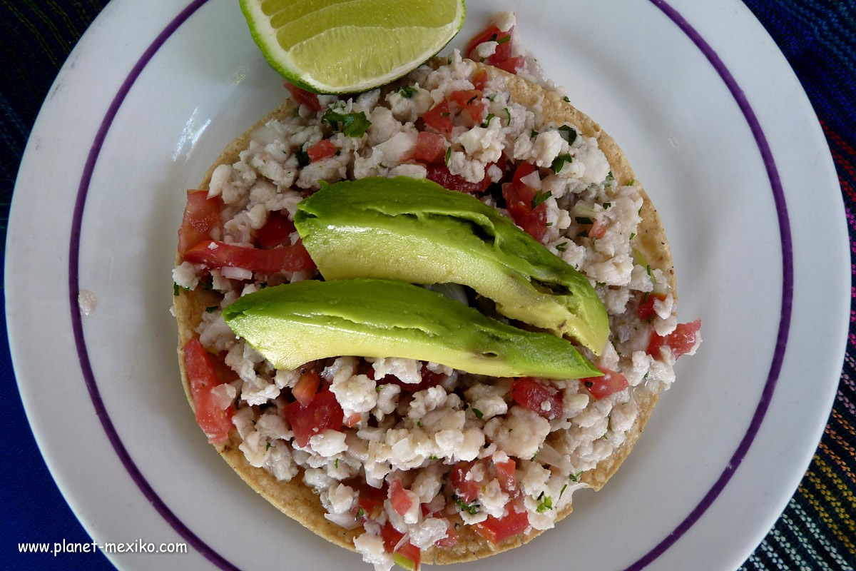 Tostada mit Avocado