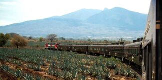 Bahnfahrt Tequila-Express José Cuervo