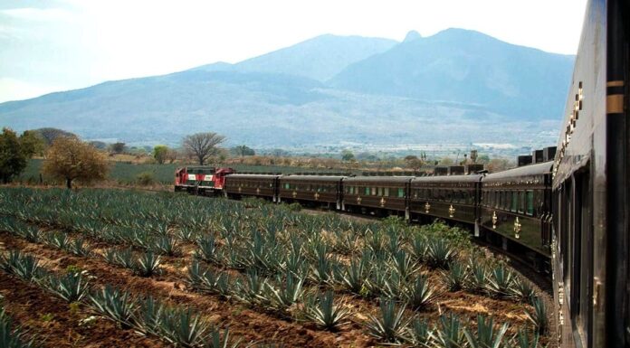 Zugfahrt mit dem Tequila-Express Bahnfahrt Tequila-Express José Cuervo