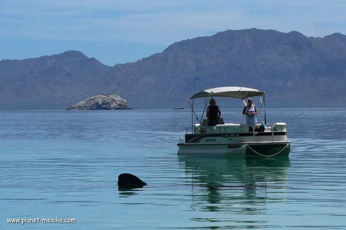 Bootstour Isla Coronado bei Loreto