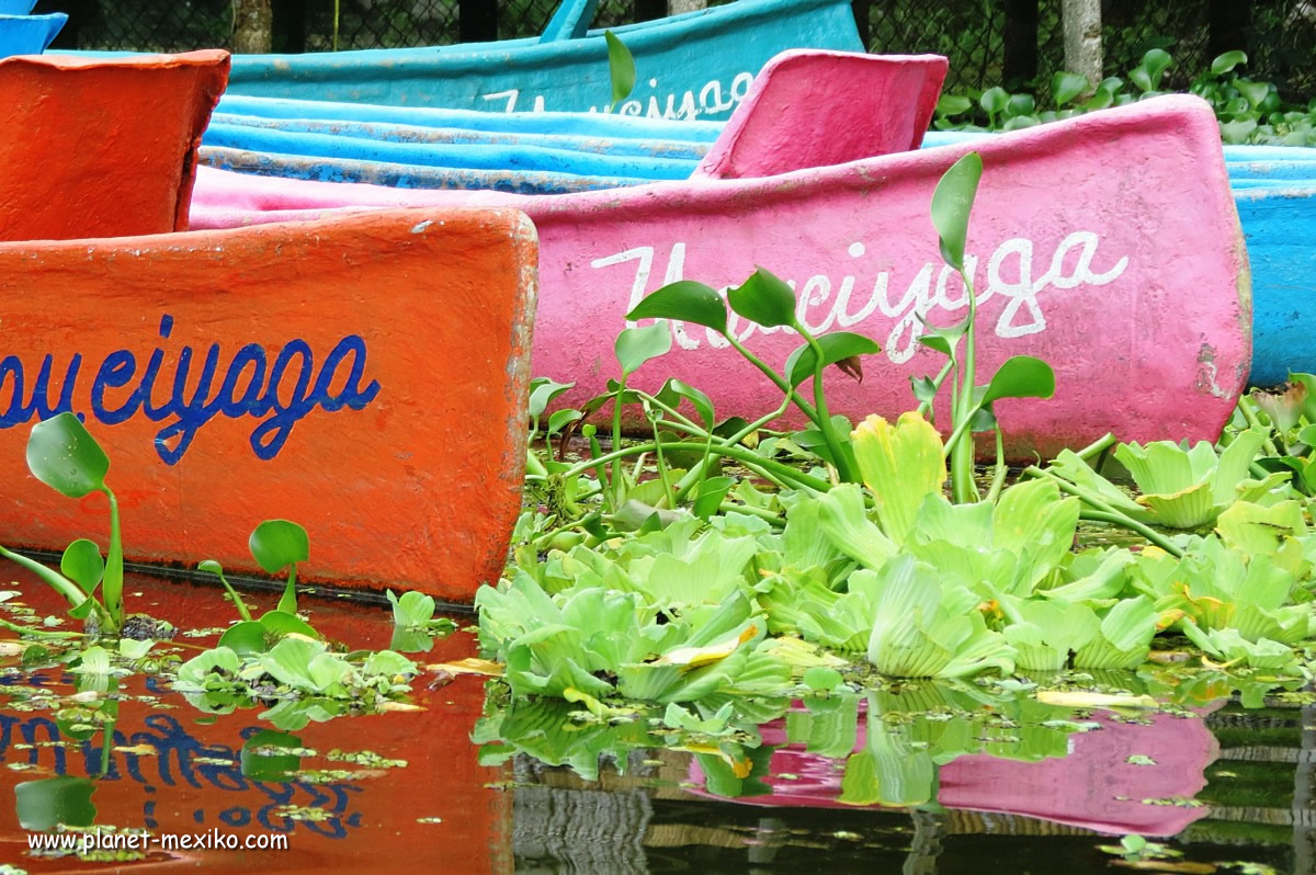 Bootstour auf dem Lago Catemaco