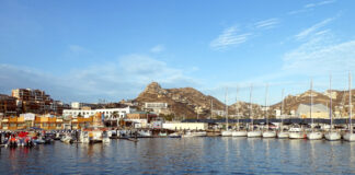 Hafen von Cabo San Lucas