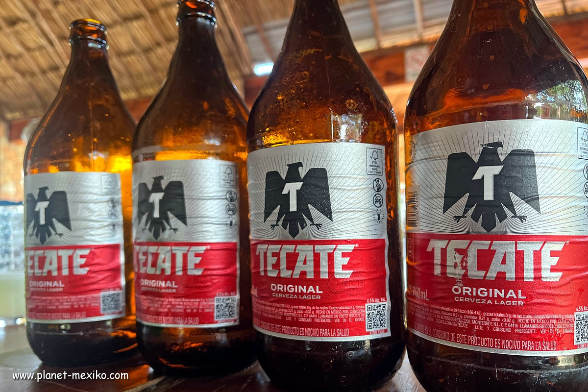 Caguama mit Tecate-Bier aus Mexiko