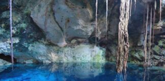 Untergrundhöhle Cenote von Cuzamá Yucatán