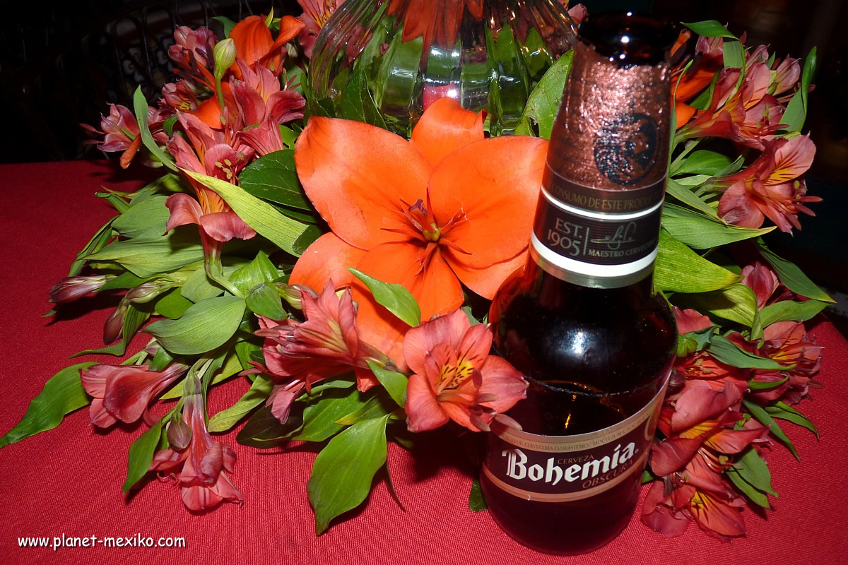 Cerveza Bohemia Premium Bier