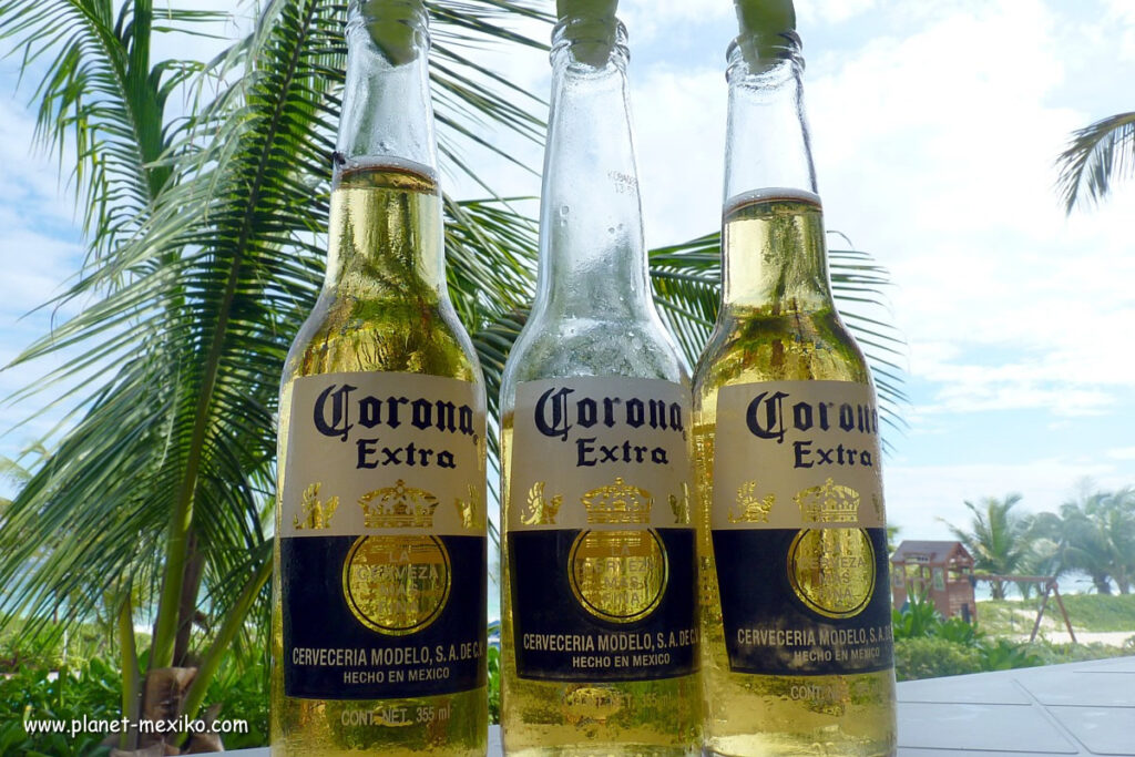 Mexikanisches Bier Cerveza Corona