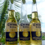 Mexikanisches Bier Cerveza Corona