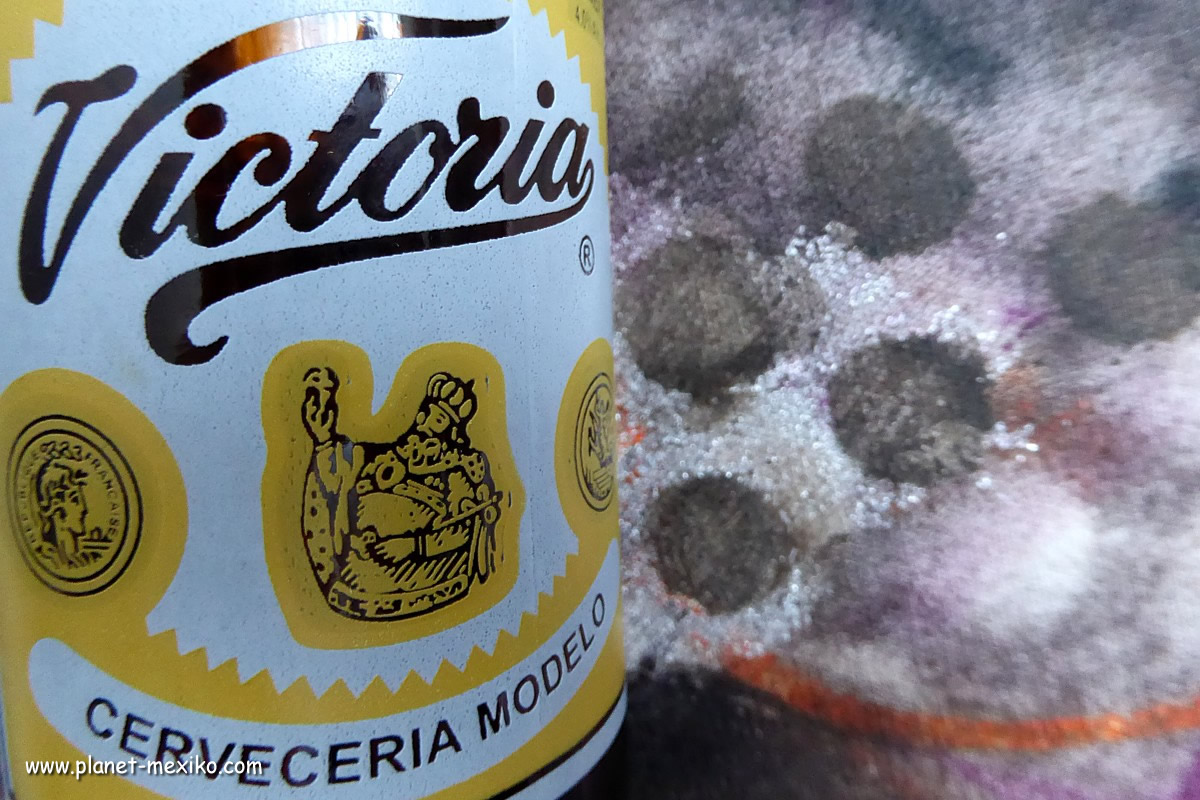 Cerveza Victoria mexikanisches Bier