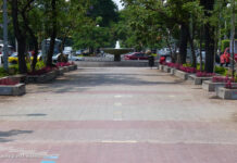 Chapultepec Boulevard