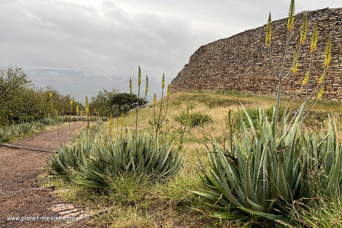 Chicomoztoc oder La Quemada von Zacatecas