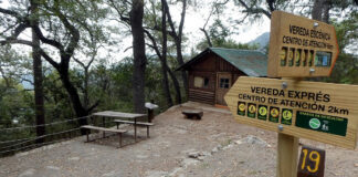 Chipinque Park in der Sierra Madre