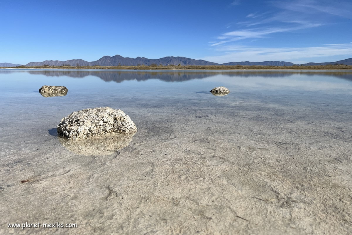 Cuatro Cienegas Las Playitas Lagune in der Wüste