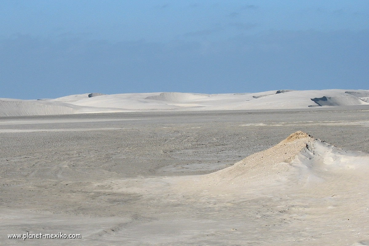 Dünen bei Guerrero Negro