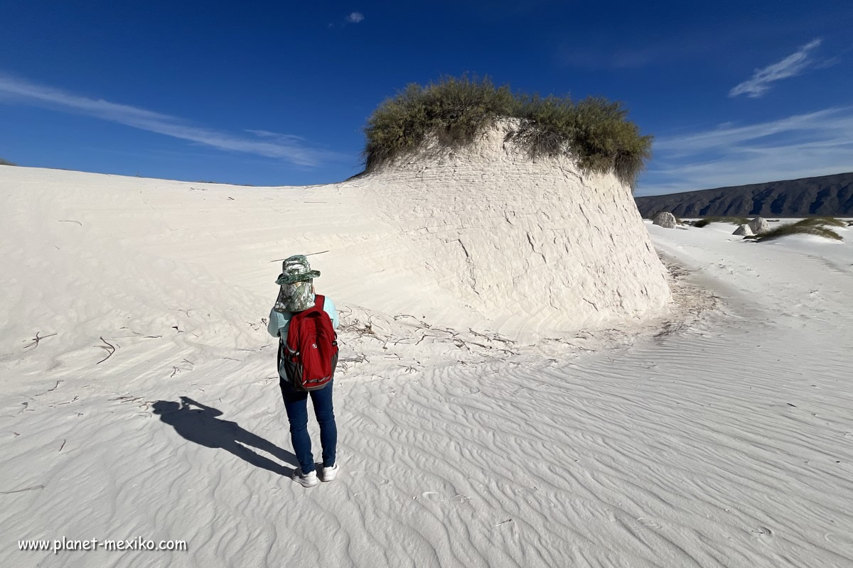 Dunas de Yeso in Cuatro Cienegas Weisser Wüste mit Dünen