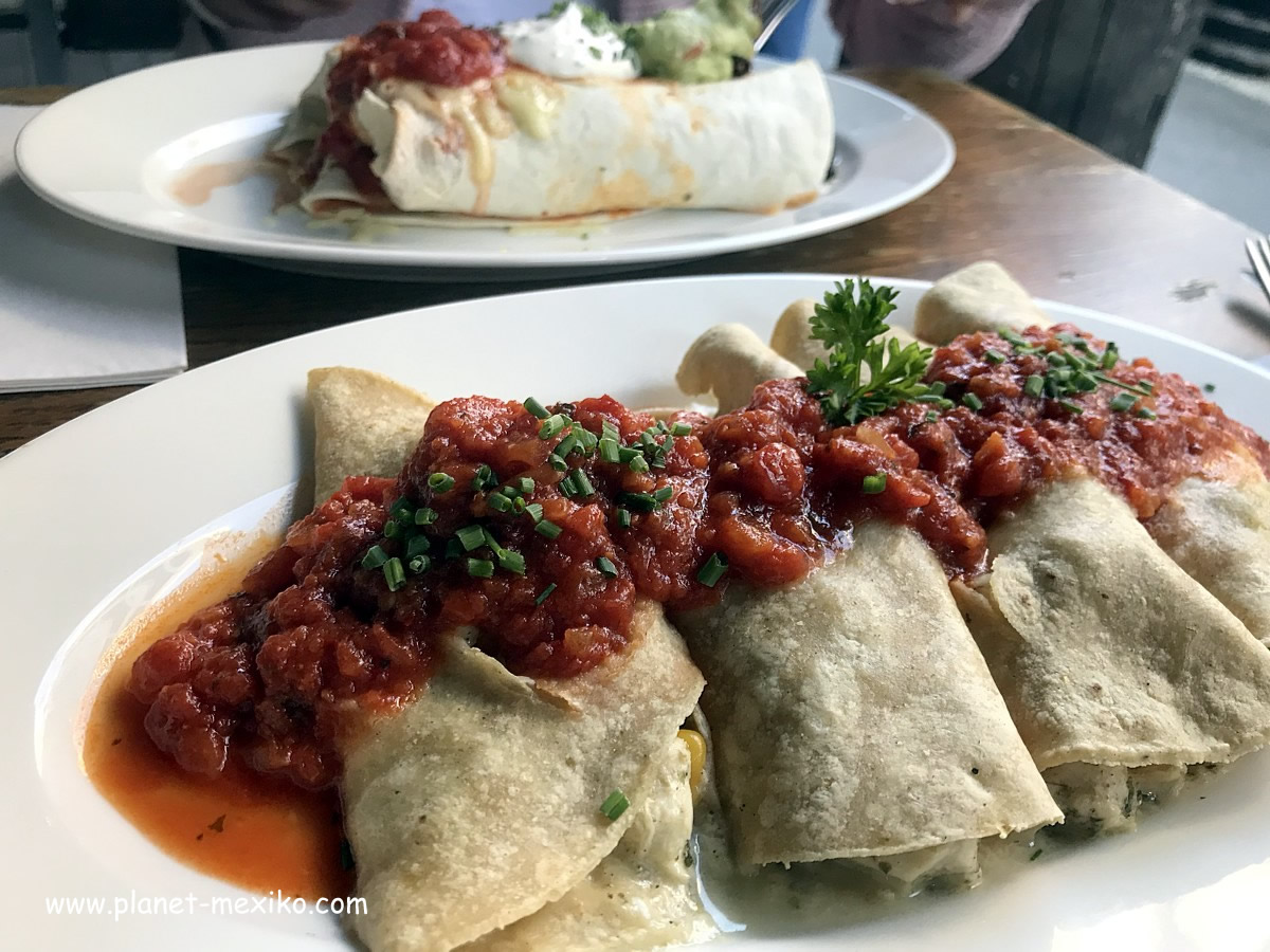 Mexikanische Spezialität Enchilada