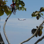 Flug und Reise nach Mexiko