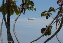 Flug und Reise nach Mexiko
