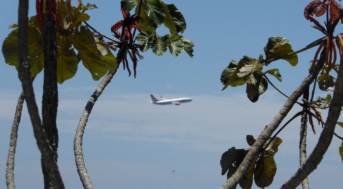 Flug und Reise nach Mexiko