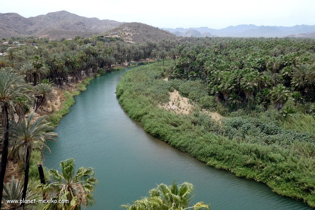 Fluss im Bundesstaat Baja California