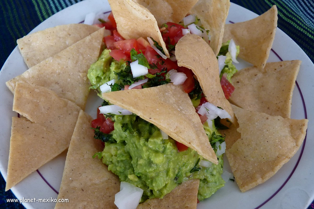 Guacamole mit Tortilla-Chips