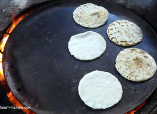 Handgemachte Tortillas aus Mais