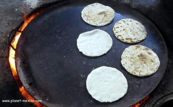 Handgemachte Tortillas aus Mais
