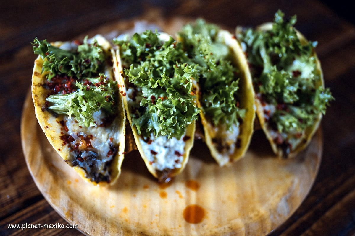 Hard Shell Tacos ist Tex-Mex Food aus den USA