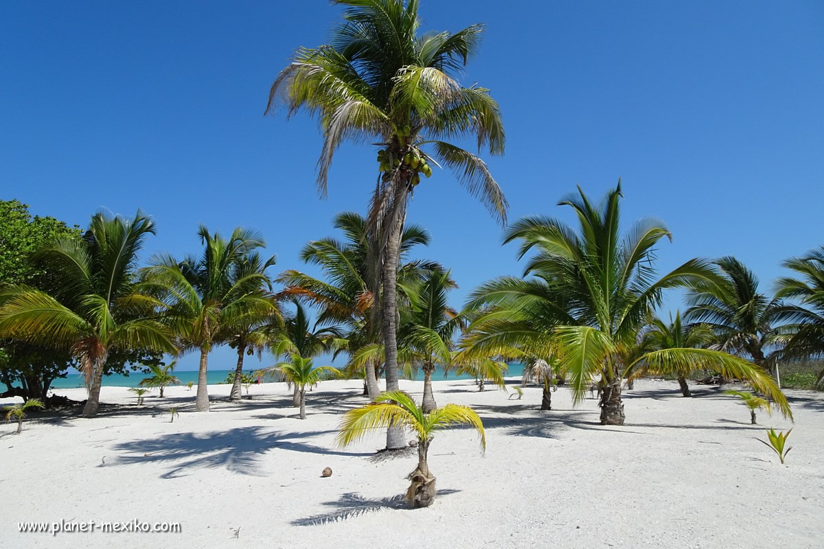 Karibikstrand in Cancun
