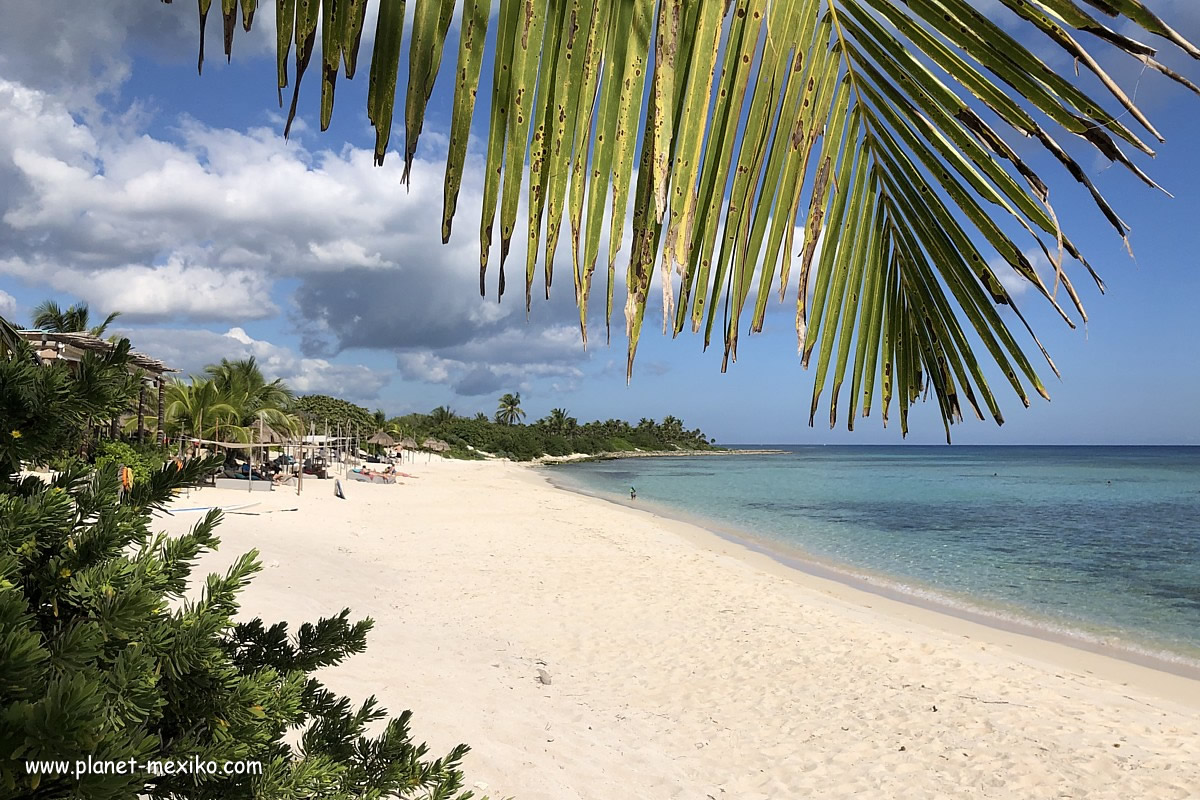 Strand an der Westküste