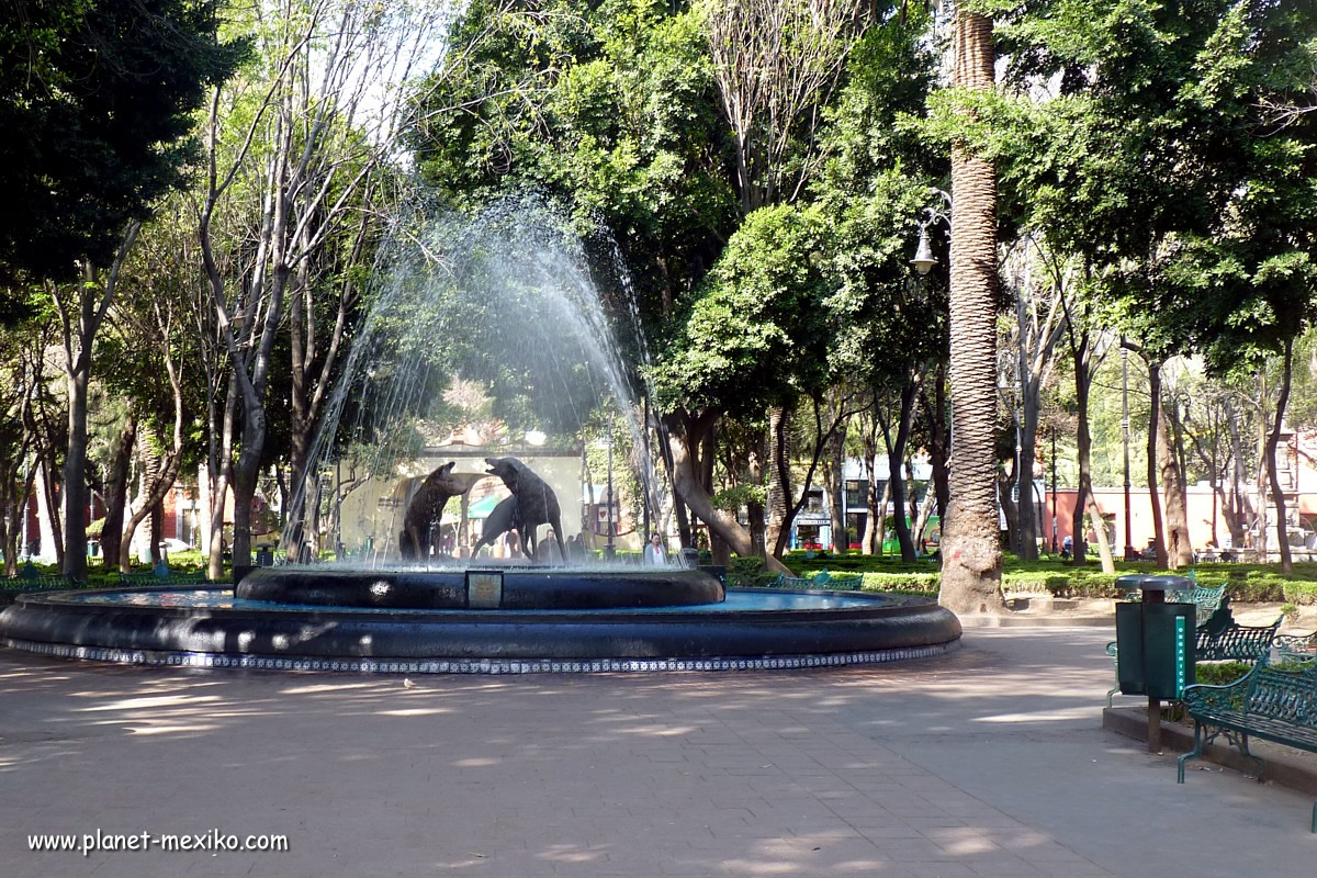 Koyoten im Brunnen von Coyoacán