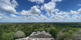 Archäologische Zone der Maya in Calakmul