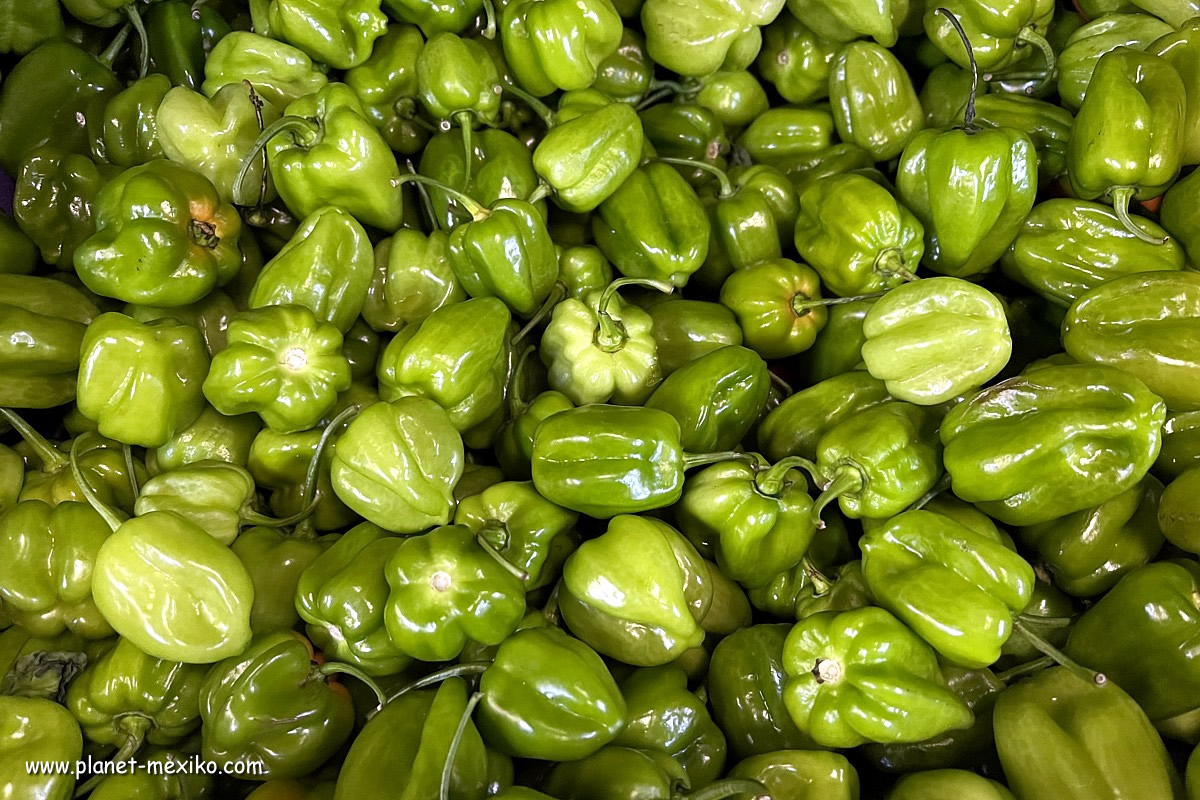 Scoville-Skala bewertet wie scharf Chili ist