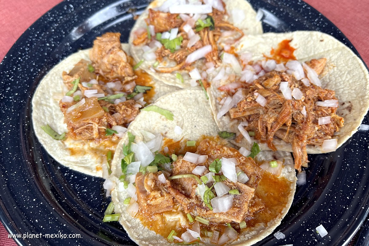 Mexikanische Tacos de Barbacoa