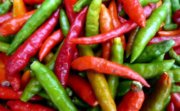 Dein scharfer Chili-Guide für Mexiko Mexiko Chili Guide