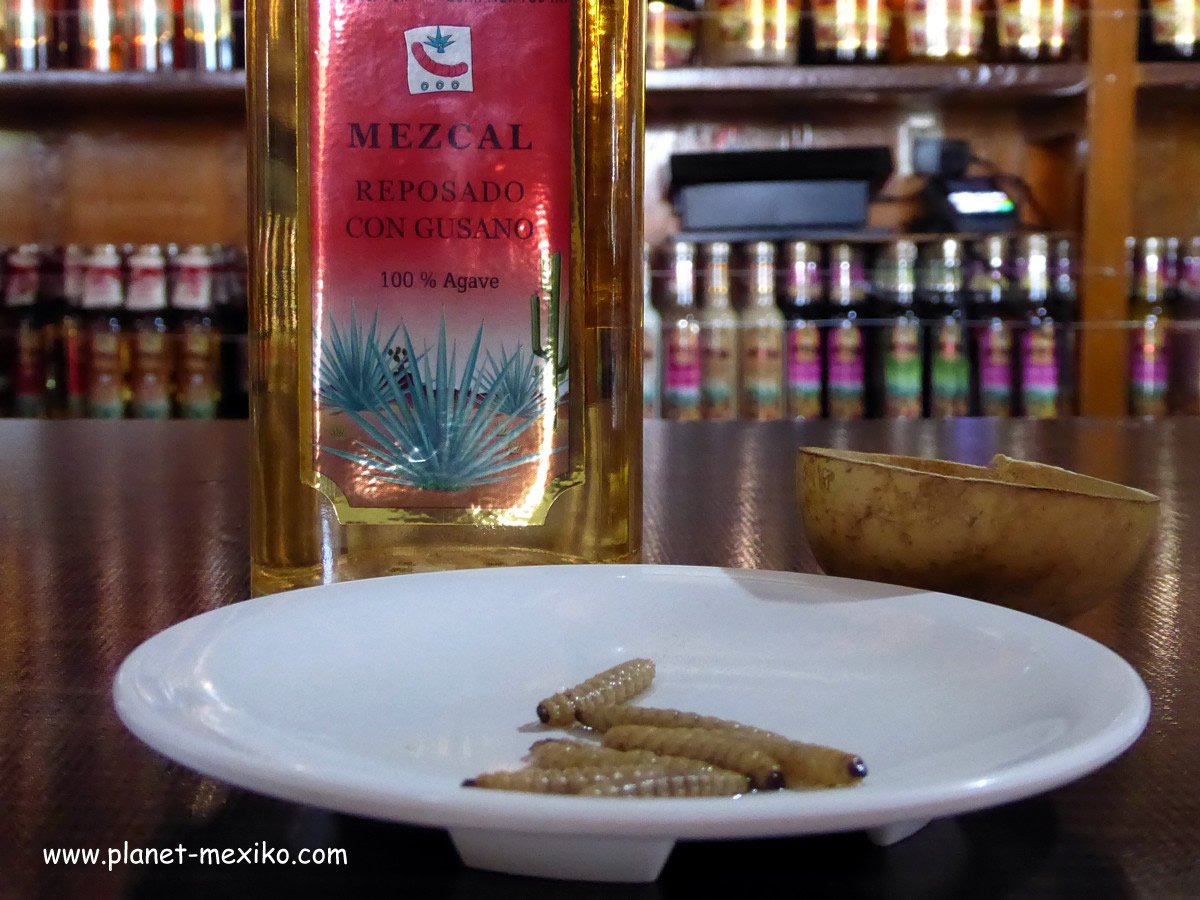 Mezcal ein typisches Getränk aus Oaxaca