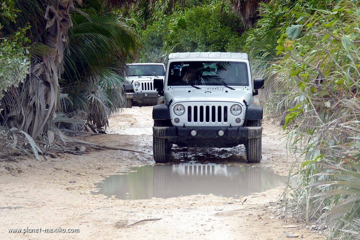 Mietwagen Jeep auf Tour durch Nationalpark