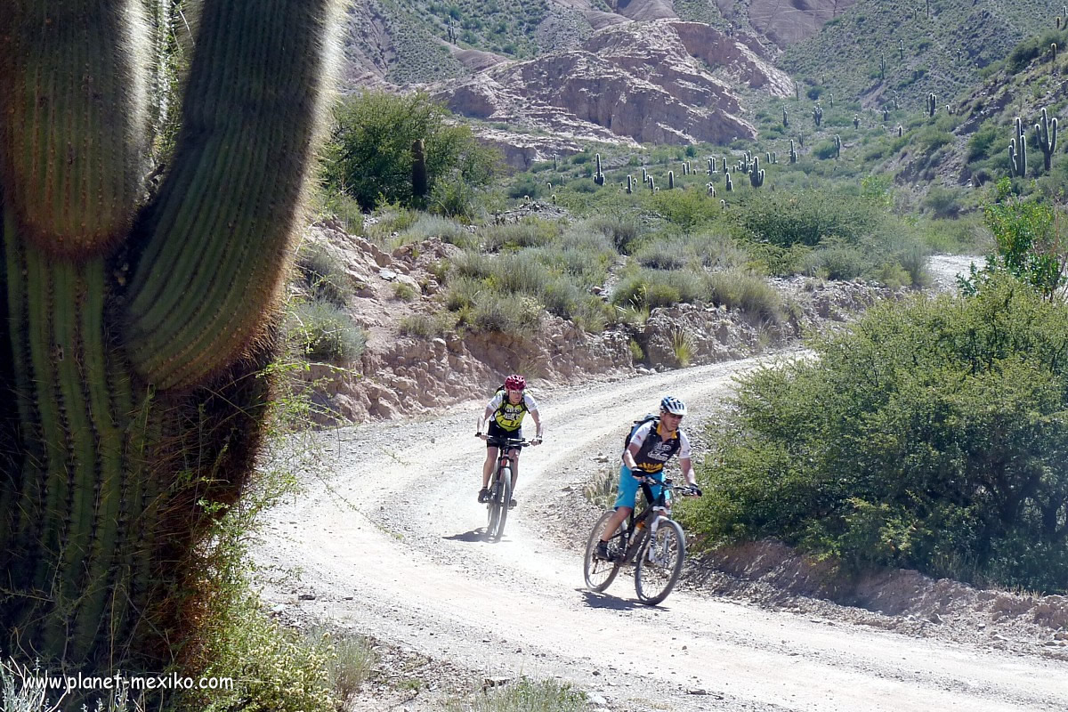 Mountainbike Tour Baja California