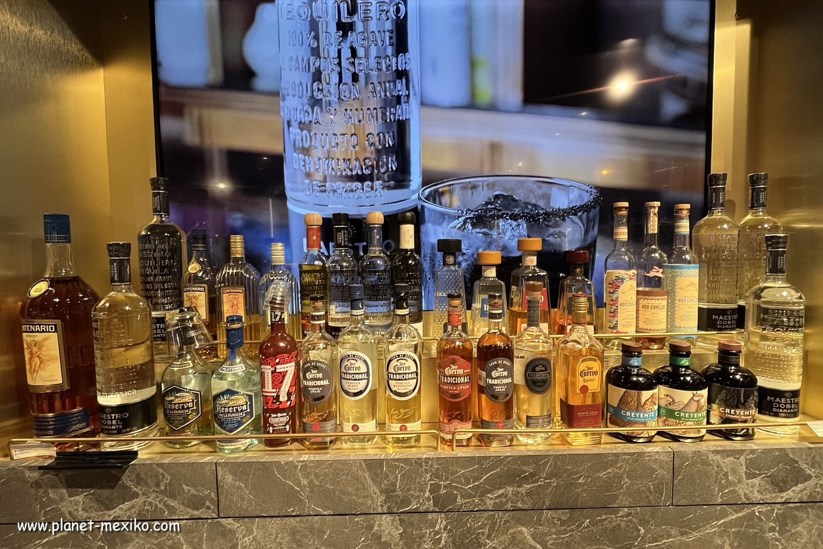 Museum Tequila und Mezcal