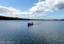 Punta Laguna: Klammeraffen und Outdoor-Abenteuer Outdoor im Naturschutzgebiet Punta Laguna in Yucatán