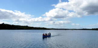 Outdoor im Naturschutzgebiet Punta Laguna in Yucatán