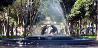 Coyoacán Stadtviertel im Süden von Mexiko City