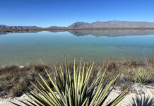 Cuatro Cienegas Naturschutzgebiet mit Wüste und Lagune in Mexiko