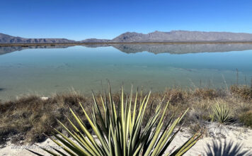 Cuatro Cienegas Naturschutzgebiet mit Wüste und Lagune in Mexiko