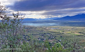 Tour und Ausflug auf den Spuren der Zapoteken in Oaxaca