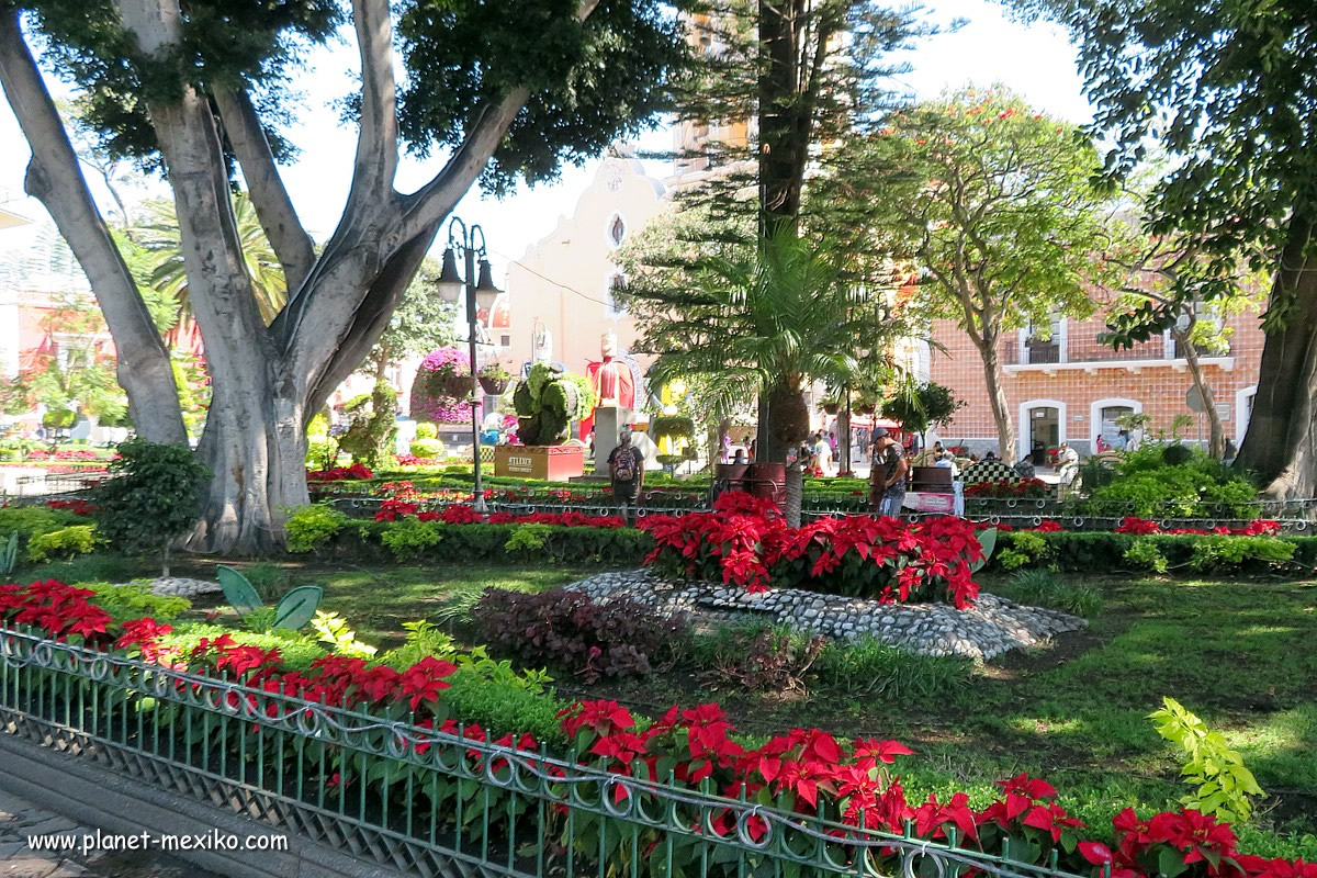 Hauptplatz Zocalo in der Stadt der Blumen