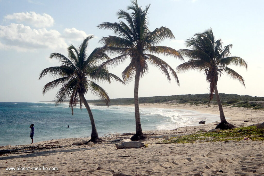 Sprachaufenthalt in Playa del Carmen